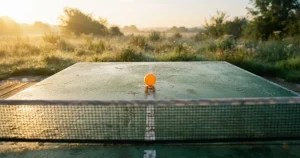 Apuestas de tenis de mesa 2026 — guía y casas con licencia DGOJ